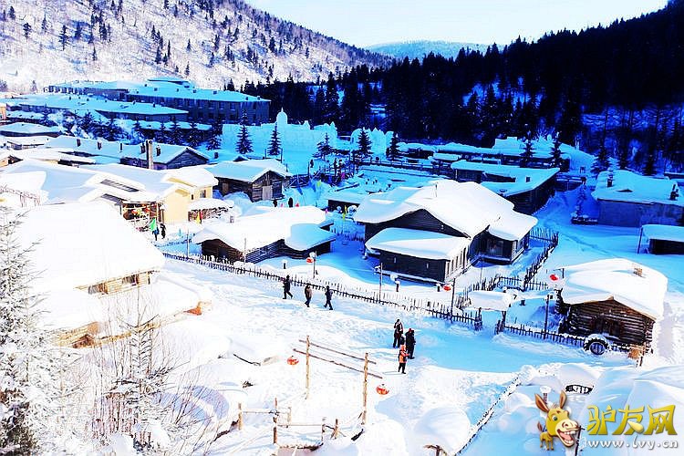 3 - ���� - ����.jpg