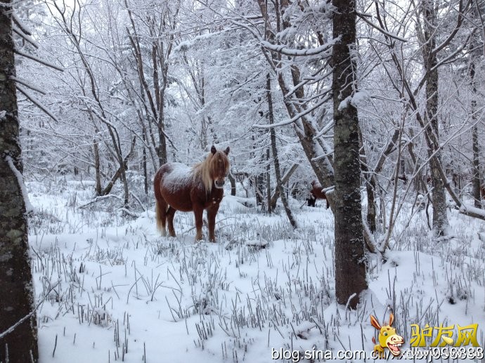 001thYTdzy6XaClawJVdf&amp;690 - ����.jpg