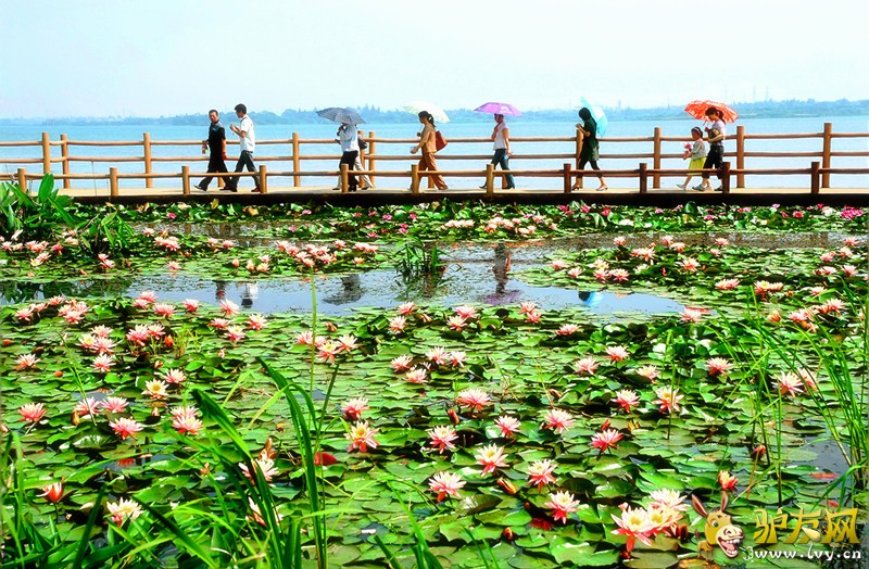 1755305glllrqq97hjyl5h - ����.jpg